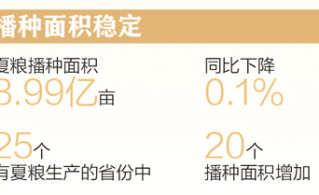 2025“发裸照我就还钱”，催收与老赖孰强孰弱？