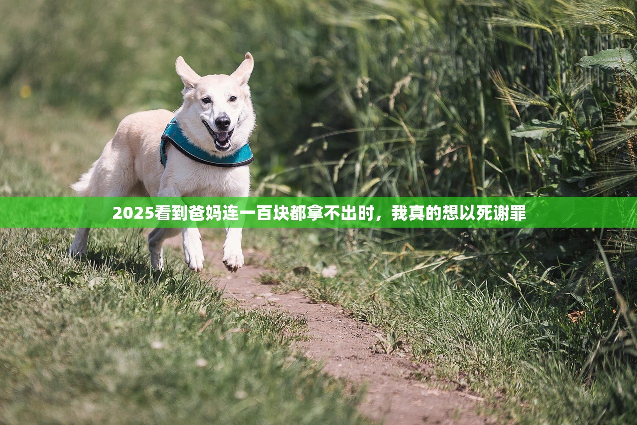 2025快讯！首次申请公积金最高可贷120万！厦门再推系列住房公积金便民利民举措