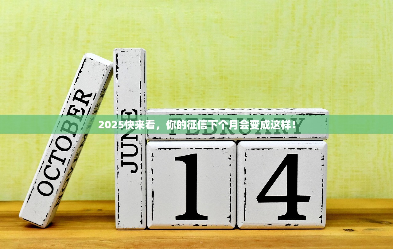 2025雷区遍地，下一步该怎么办？