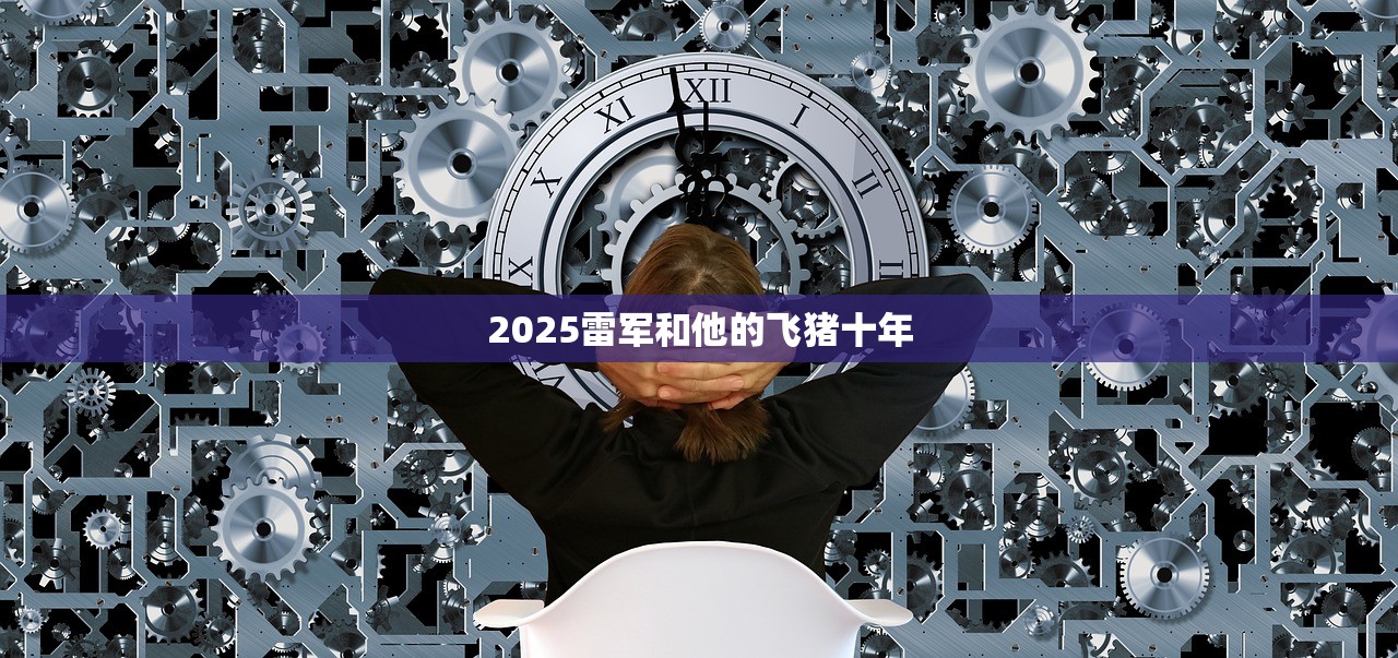 2025雷军和他的飞猪十年